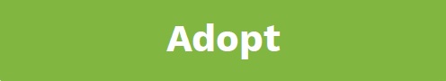Click to adopt