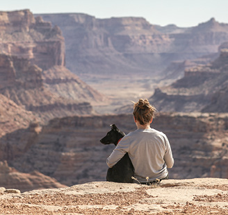 Dog and owner looking over a canyon